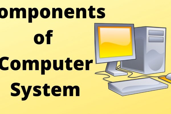 Components of Computer: Definitions, Notes, Quiz, PPT | Leverage Edu